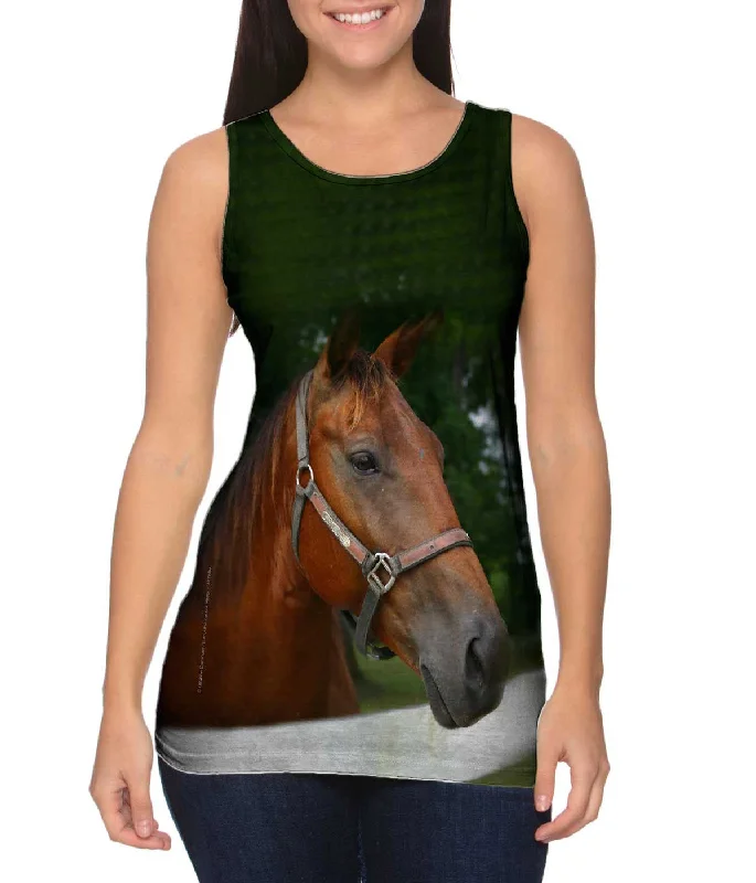 Relaxed Street Styles Affordable Style All Knowing Horse