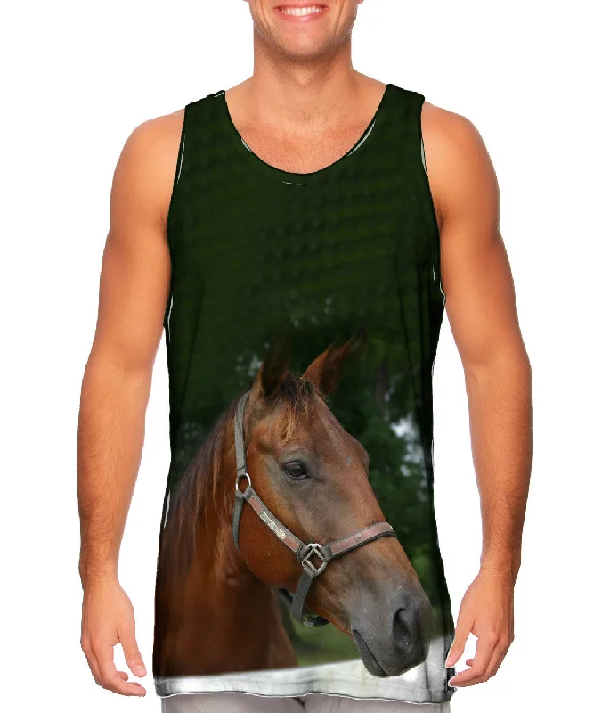 Simple Fashion Layers Day-to-day Fashion All Knowing Horse